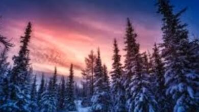 Beautiful:_Zbeu8sfqms= Winter Background