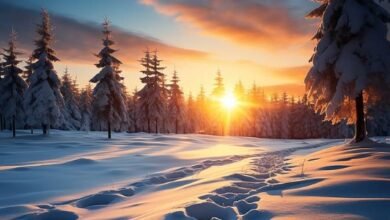 Beautiful:_Zbeu8sfqms= Winter Wallpaper