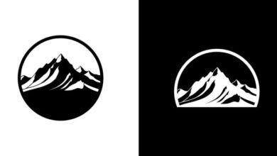 Logo:1blg5fcc3wo= the North Face