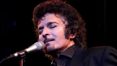 Gino Vannelli Net Worth: The Singer's Career and Earnings