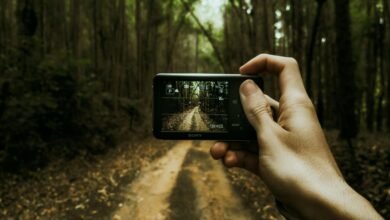 digital evolution journey ahead