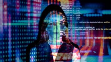 digital development initiatives overview