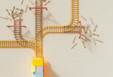 data alignment summary report