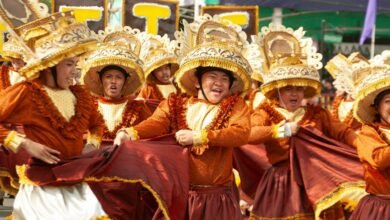 identifier performance summary report